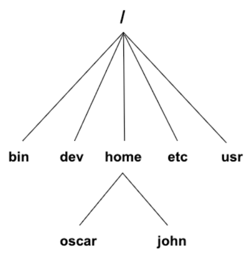 image-20200310190443366