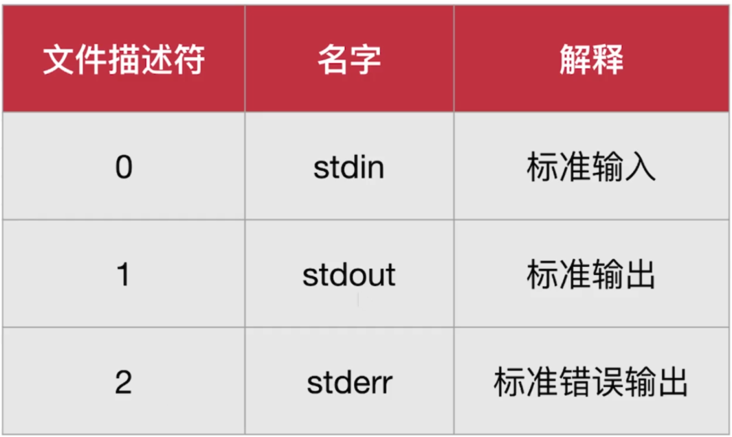 image-20200316110414705